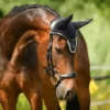 PS Of Sweden Pioneer Drop Noseband Bridle Black