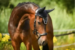 PS Of Sweden Pioneer Drop Noseband Bridle Black