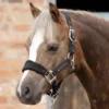 Premier Equine Fleece Padded Pony Headcollar Black