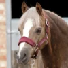 Premier Equine Fleece Padded Pony Headcollar Burgundy