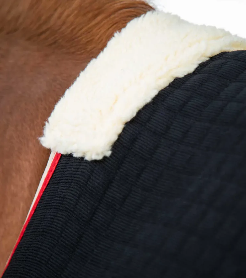 Premier Equine PremTex Horse Cooler Rug Black 2 Premier Equine PremTex Horse Cooler Rug Black - Image 2