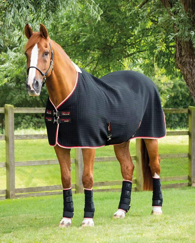 Premier Equine PremTex Horse Cooler Rug Black 1 Premier Equine PremTex Horse Cooler Rug Black