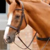 Premier Equine Primo Hunter Bridle Brown