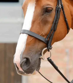 Premier Equine Primo Hunter Cavesson Noseband Black -Lemieux Shop Primo Hunter Cavesson Noseband Black 2 V2