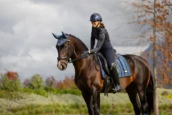 LeMieux Loire Classic Dressage Square Atlantic -Lemieux Shop Q iyWBF9