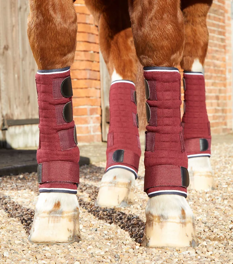 Premier Equine Quick Dry Horse Leg Wraps Burgundy 1 Premier Equine Quick Dry Horse Leg Wraps Burgundy