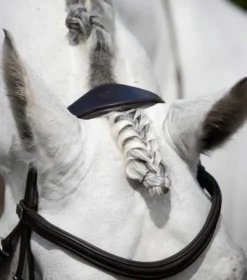 Premier Equine Rizzo Anatomic Snaffle Bridle With Flash Brown -Lemieux Shop Rizzo Anatomic Snaffle Bridle with Flash Brown 6