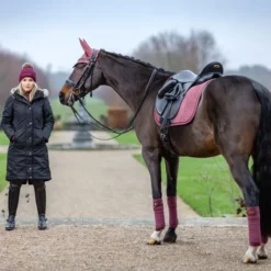 LeMieux Suede Dressage Square Orchid 5 LeMieux Suede Dressage Square Orchid -Lemieux Shop S8c8ukhA