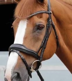 Premier Equine Cheek Pieces Pair Black -Lemieux Shop Spare Cheek Pieces Black Image2 V2