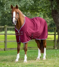 Premier Equine Stratus Horse Stable Sheet Burgundy