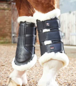Premier Equine Techno Wool Brushing Boots Black -Lemieux Shop Techno Wool Brushing Boot Black 5