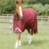 Premier Equine Titan 100g Original Turnout Rug Burgundy