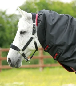 Premier Equine Titan 100g Turnout Rug With Snug-Fit Neck Cover Black -Lemieux Shop Titan 100 Turnout Rug Black 3