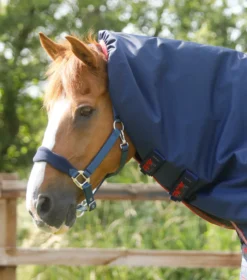 Premier Equine Titan 100g Turnout Rug With Snug-Fit Neck Cover Navy 8 Premier Equine Titan 100g Turnout Rug With Snug-Fit Neck Cover Navy -Lemieux Shop Titan 100 Turnout Rug Navy 3