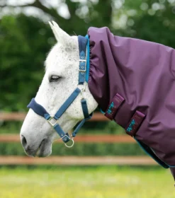 Premier Equine Titan 200g Turnout Rug With Snug-Fit Neck Cover Purple -Lemieux Shop Titan 200 Turnout Rug Purple 3