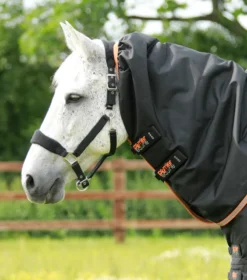 Premier Equine Titan 300g Turnout Rug With Snug-Fit Neck Cover Black 8 Premier Equine Titan 300g Turnout Rug With Snug-Fit Neck Cover Black -Lemieux Shop Titan 300 Turnout Rug Black 3
