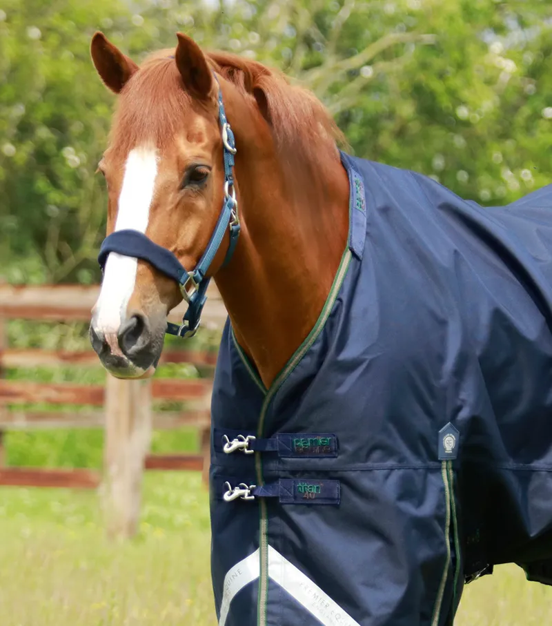 Premier Equine Titan 40g Turnout Rug With Snug-Fit Neck Cover Navy 2 Premier Equine Titan 40g Turnout Rug With Snug-Fit Neck Cover Navy - Image 2