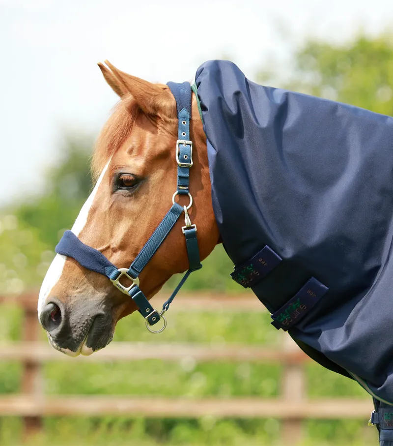 Premier Equine Titan 40g Turnout Rug With Snug-Fit Neck Cover Navy 3 Premier Equine Titan 40g Turnout Rug With Snug-Fit Neck Cover Navy - Image 3