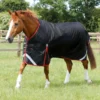 Premier Equine Titan 450g Original Turnout Rug Black