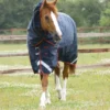 Premier Equine Titan 450g Turnout Rug With Snug-Fit Neck Cover Navy