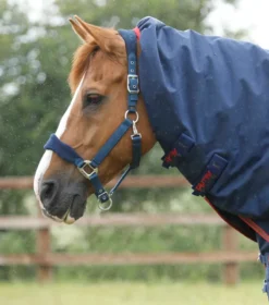 Premier Equine Titan 450g Turnout Rug With Snug-Fit Neck Cover Navy -Lemieux Shop Titan 450 Turnout Rug Navy 3
