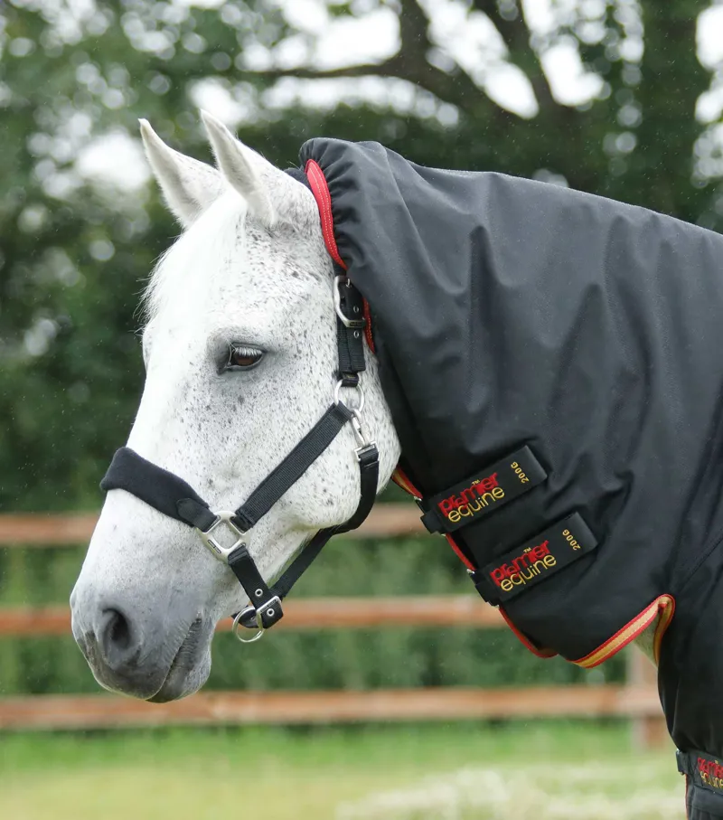 Premier Equine Titan Storm 450g Combo Turnout Rug With Snug-Fit Neck Black 2 Premier Equine Titan Storm 450g Combo Turnout Rug With Snug-Fit Neck Black - Image 2
