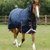 Premier Equine Titan Storm 450g Combo Turnout Rug With Snug-Fit Neck Navy