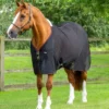 Premier Equine Ventoso Mesh Cooler Rug Black