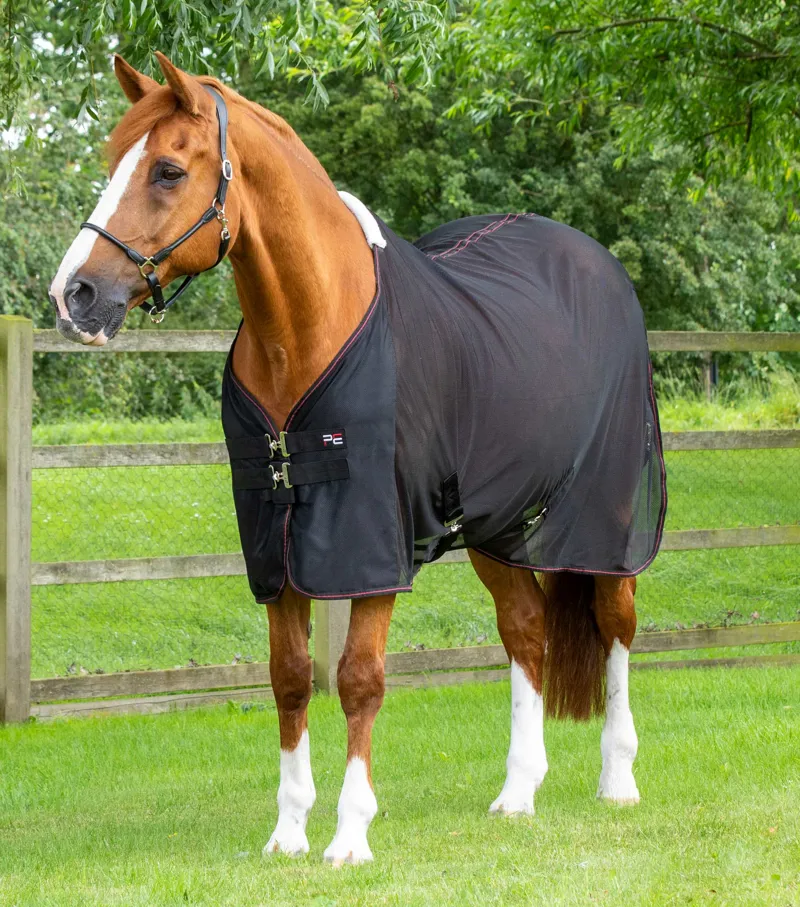 Premier Equine Ventoso Mesh Cooler Rug Black 1 Premier Equine Ventoso Mesh Cooler Rug Black