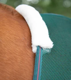 Premier Equine Ventoso Mesh Cooler Rug Green -Lemieux Shop Ventoso Mesh Cooler Green 3