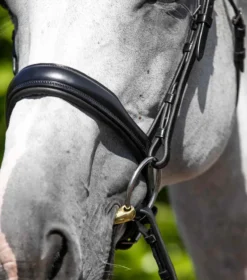 Premier Equine Verdura Anatomic Snaffle Bridle Black -Lemieux Shop Verdura Anatomic Snaffle Bridle Black 3