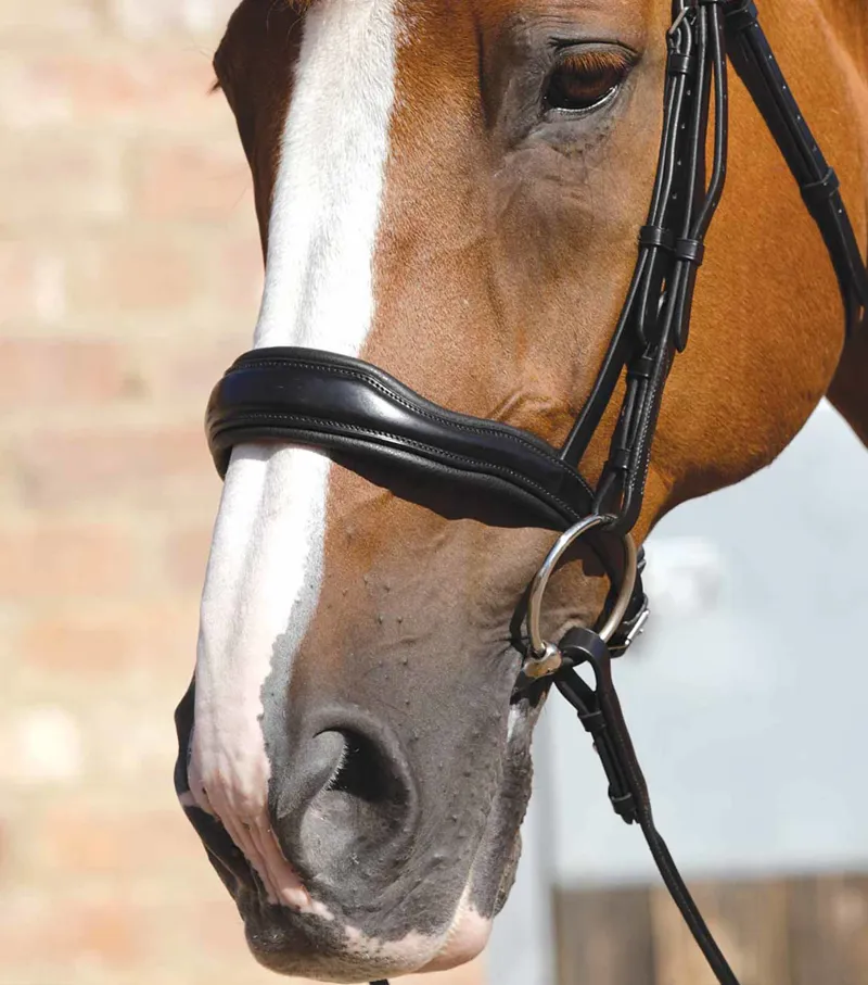 Premier Equine Verdura Anatomic Cavesson Noseband Black 3 Premier Equine Verdura Anatomic Cavesson Noseband Black - Image 3