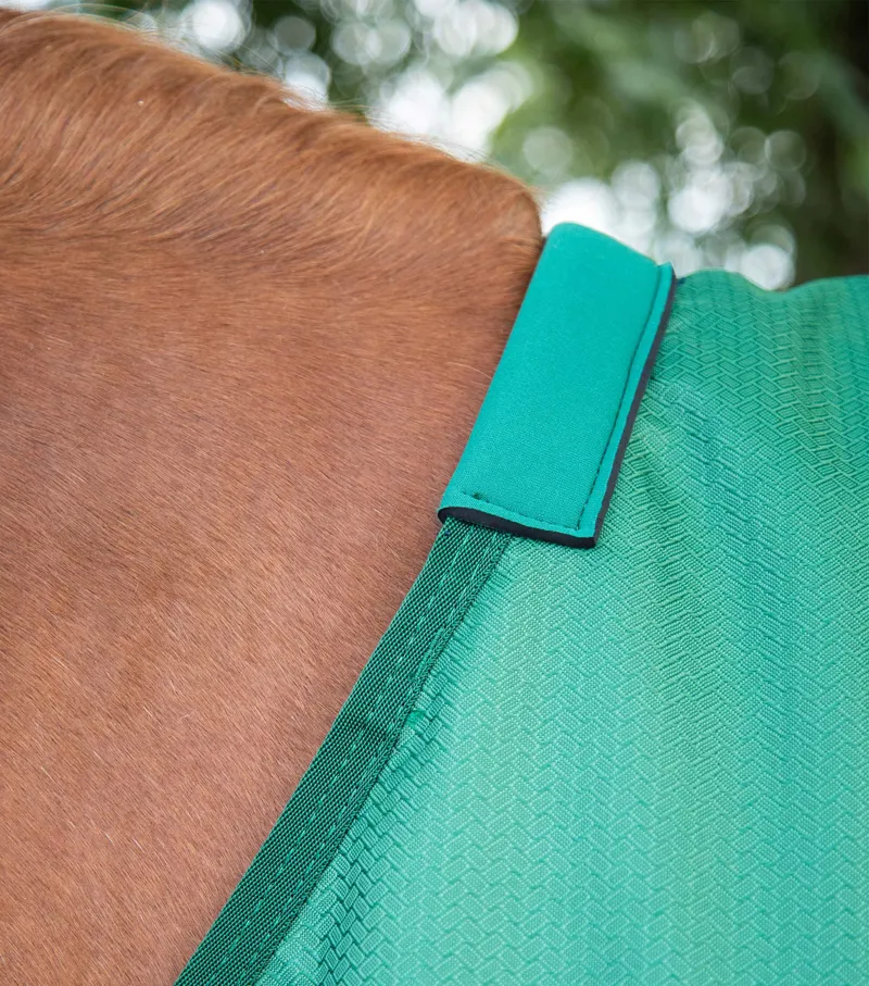 Premier Equine Akoni 0g Original Turnout Rug Green 2 Premier Equine Akoni 0g Original Turnout Rug Green - Image 2
