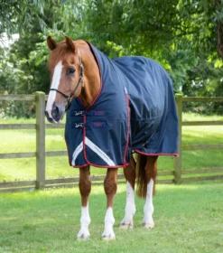 Premier Equine Buster Hardy 200g Half Neck Turnout Rug Navy