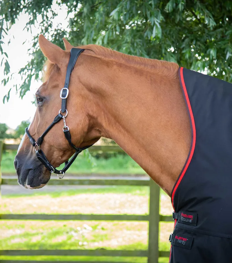 Premier Equine Buster Hardy 400g Half Neck Turnout Rug Black 2 Premier Equine Buster Hardy 400g Half Neck Turnout Rug Black - Image 2