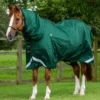 Premier Equine Buster Storm 220g Combo Turnout Rug With Classic Neck Green