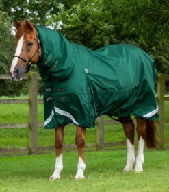 Premier Equine Buster Storm 220g Combo Turnout Rug With Classic Neck Green