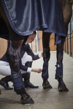 Eskadron Platinum Pure Softshell Tendon Boots Navy -Lemieux Shop dc04c820 67d8 4352 b6f7 10d581dcc1c4