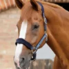 Premier Equine Fleece Padded Horse Headcollar Navy