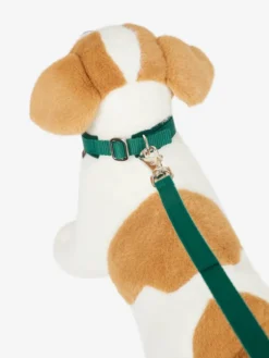 LeMieux Toy Puppy Collar And Lead Evergreen -Lemieux Shop lm aw23 toydog lead collar spruce hr 1 copy