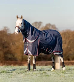 LeMieux Kudos Turnout Rug 100g Navy