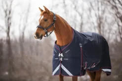 LeMieux Kudos Turnout Rug 50g Navy -Lemieux Shop lm kudosturnout2 lr