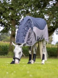 LeMieux Arika Shower-Tek Fly Rug -Lemieux Shop lm showertek2 hr