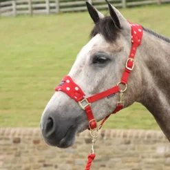 Supreme Products Dotty Fleece Head Collar And Lead Rope In Rosette Red