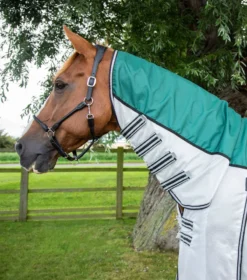 Premier Equine ShowerTex Fly Rug With Surcingles Green 7 Premier Equine ShowerTex Fly Rug With Surcingles Green -Lemieux Shop showertex stay dry fly rug green 2
