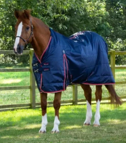 Premier Equine Stable Buster Lite 100g Navy