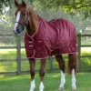 Premier Equine Tuscan Stable Rug 100g Burgundy