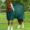 Premier Equine Ventoso Mesh Cooler Rug Green